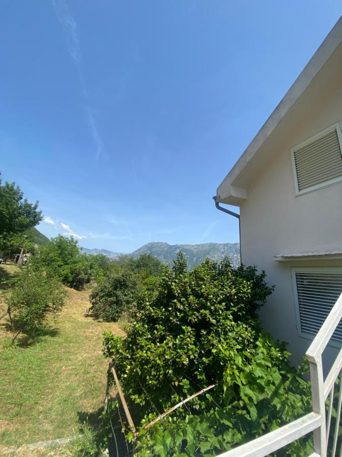 Apartments Djuricic Kotor Bagian luar foto