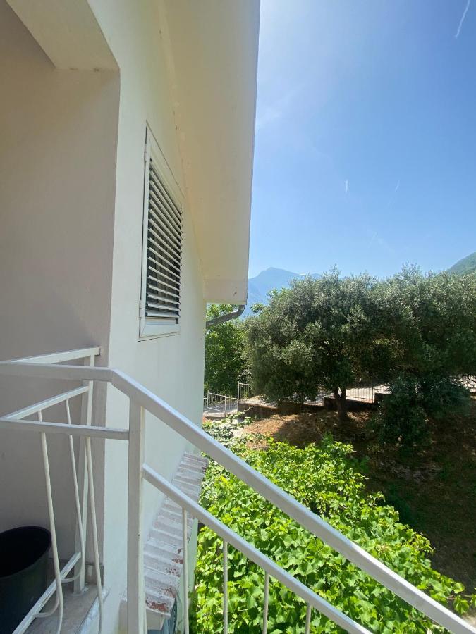 Apartments Djuricic Kotor Bagian luar foto