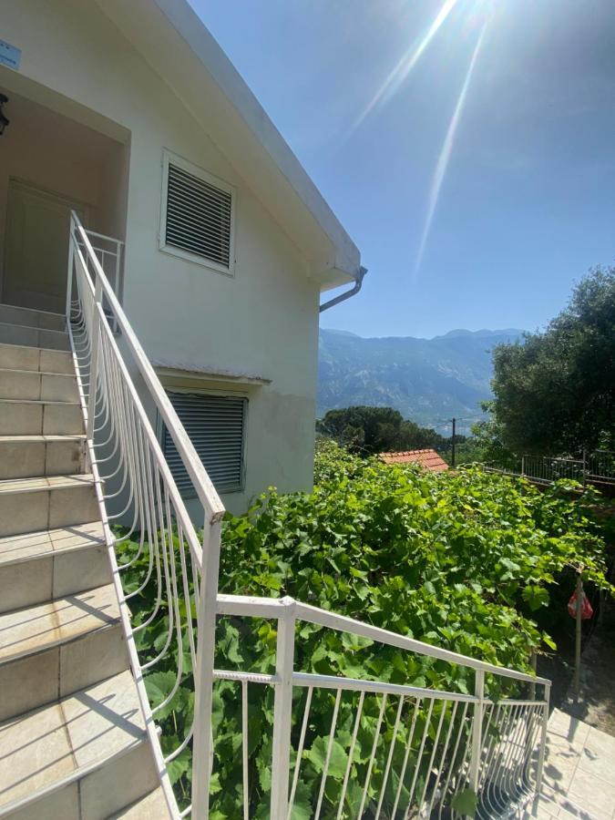 Apartments Djuricic Kotor Bagian luar foto