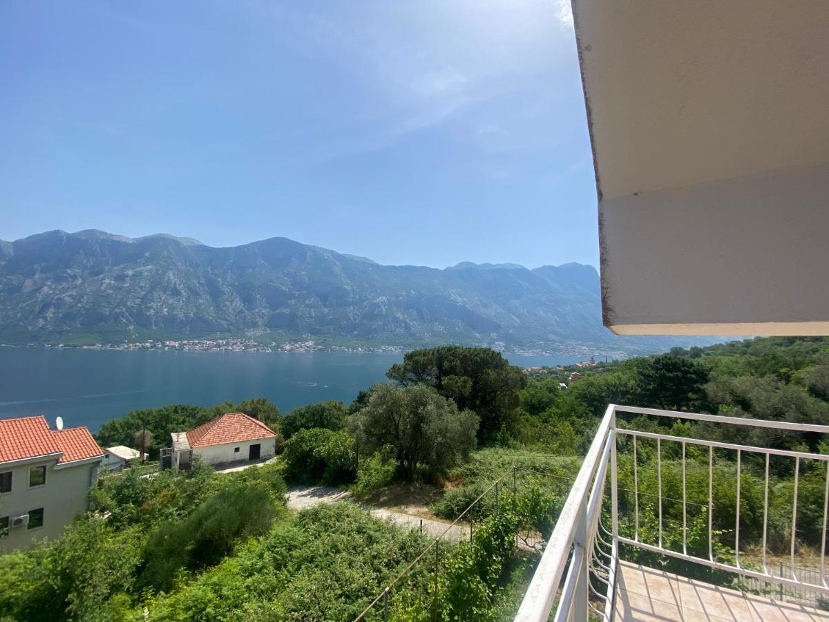Apartments Djuricic Kotor Bagian luar foto